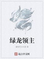 绿龙领主