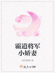 霸道将军小娇妻