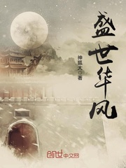 盛世华风
