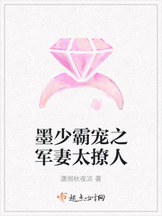 墨少霸宠之军妻太撩人