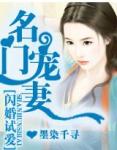 闪婚试爱.名门宠妻