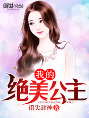 我的绝美公主
