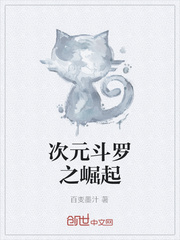 次元斗罗之崛起