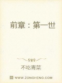 紫极天下