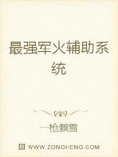 最强军火辅助系统