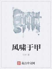 风啸于甲