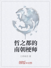哲之都的南朝梗师