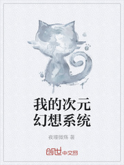 我的次元幻想系统