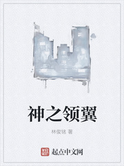 神之领翼