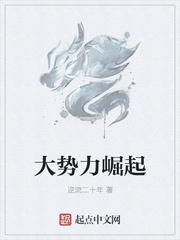 大势力崛起