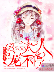 暖婚萌宝：Boss大人宠不停！