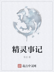 精灵事记
