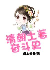 清朝土著奋斗史