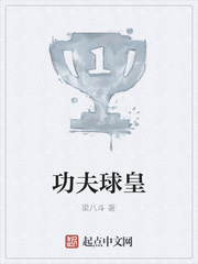 功夫球皇