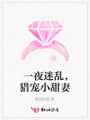 一夜迷乱，猎宠小甜妻