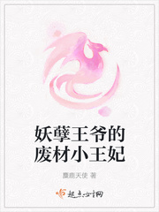 妖孽王爷的废材小王妃