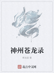 神州苍龙录