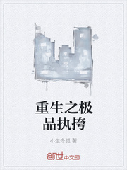 重生之极品执挎