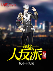 海贼之大反派系统