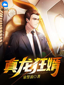 真龙狂婿