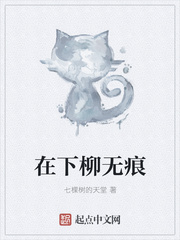 在下柳无痕