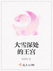 大雪深处的王宫