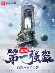 位面第一强盗