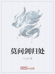 莫问剑归处