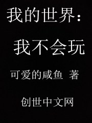 我的世界之我不会玩