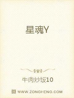 星魂Y