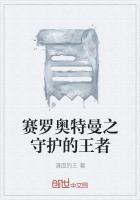 赛罗奥特曼之守护的王者