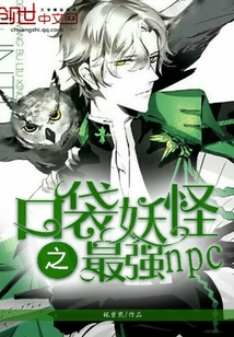 口袋妖怪之最强NPC