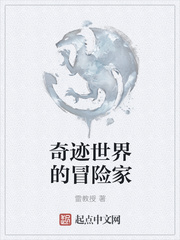 奇迹世界的冒险家