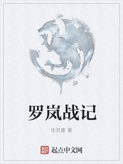 罗岚战记