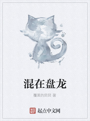 混在盘龙