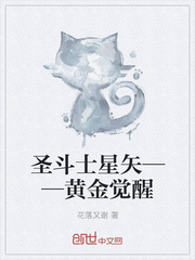 候补圣斗士
