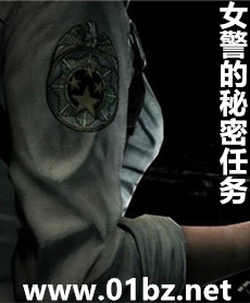 女警的秘密任务