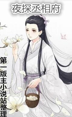 夜探丞相府
