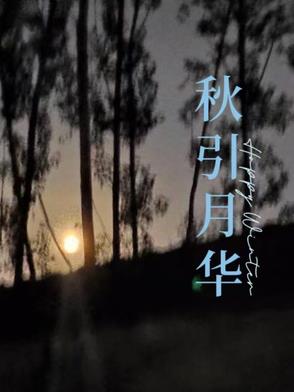 重生年代：炮灰长姐带妹逆袭