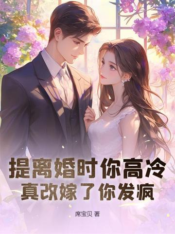 剑影天漄