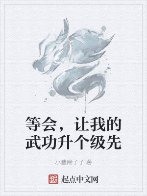 等会，让我的武功升个级先