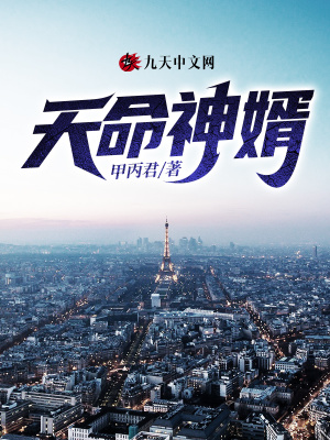 天命神婿
