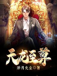 天龙至尊