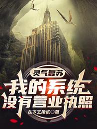 超级保健系统