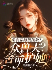 重生华娱2000年，一专封神
