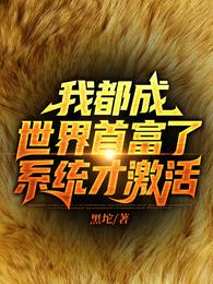 我都成世界首富了，系统才激活