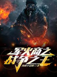 军火商之战争之王