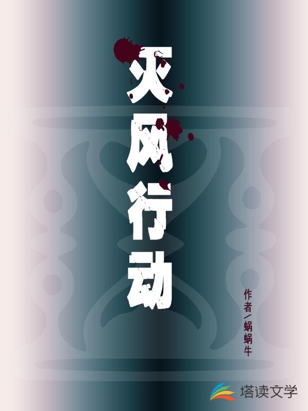 灭风行动