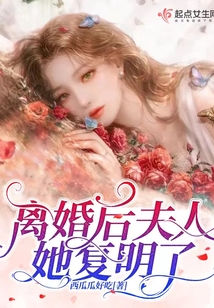 离婚后夫人她复明了