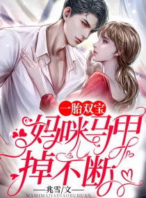 一胎双宝：妈咪马甲掉不断